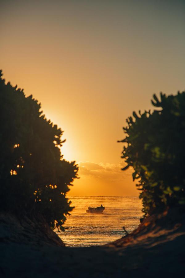 Tente de luxe Glamp Ikal Tulum